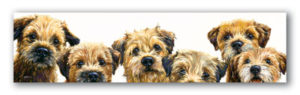 Dog Art