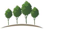 City of Trees Realty Home